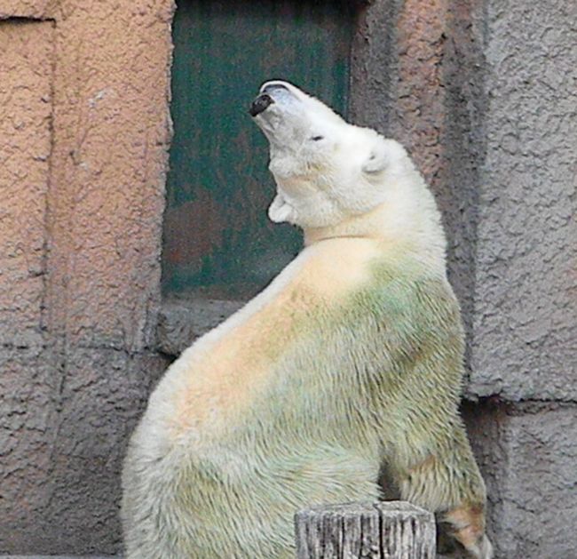 b0014576_7444062.jpg
