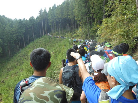 c0206177_846163.jpg