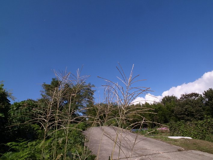 d0138082_19392974.jpg