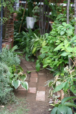 e0154682_225084.jpg