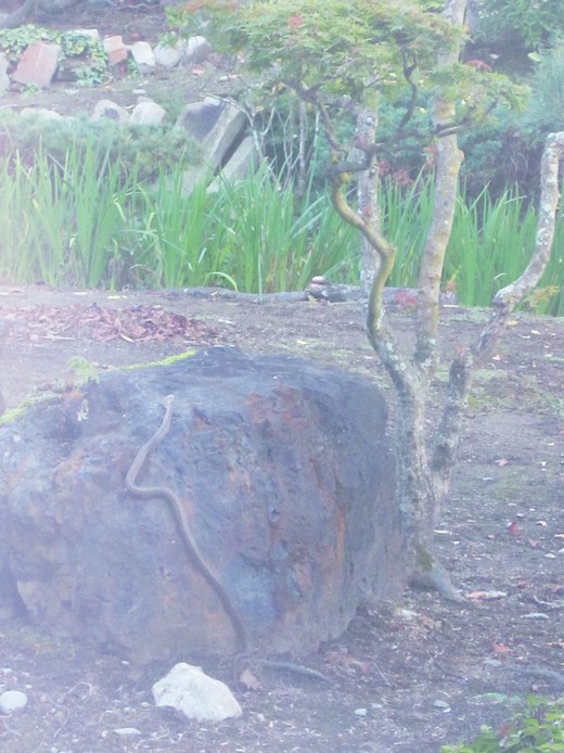 c0168584_1024348.jpg