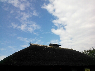 d0160684_1330053.jpg