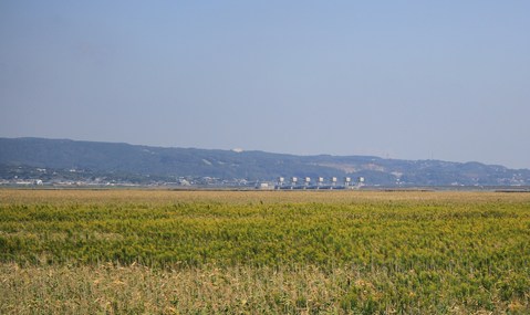 e0197884_20313618.jpg