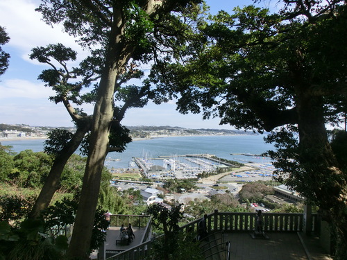 e0123587_20461036.jpg