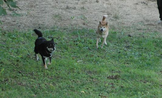 c0123890_1692677.jpg