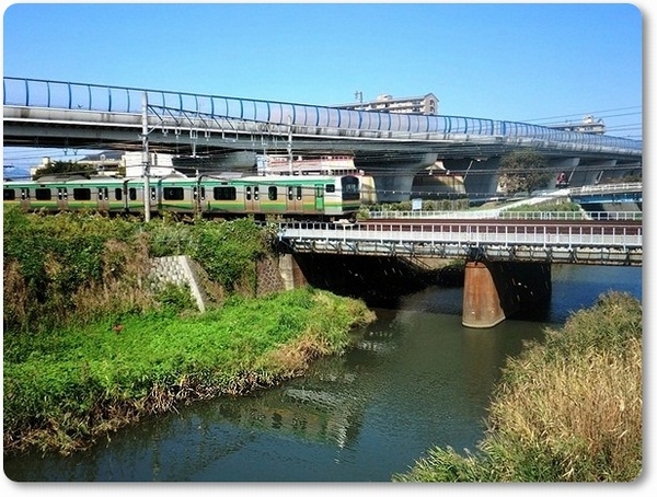 e0143690_6485586.jpg