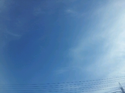 d0239796_9384894.jpg