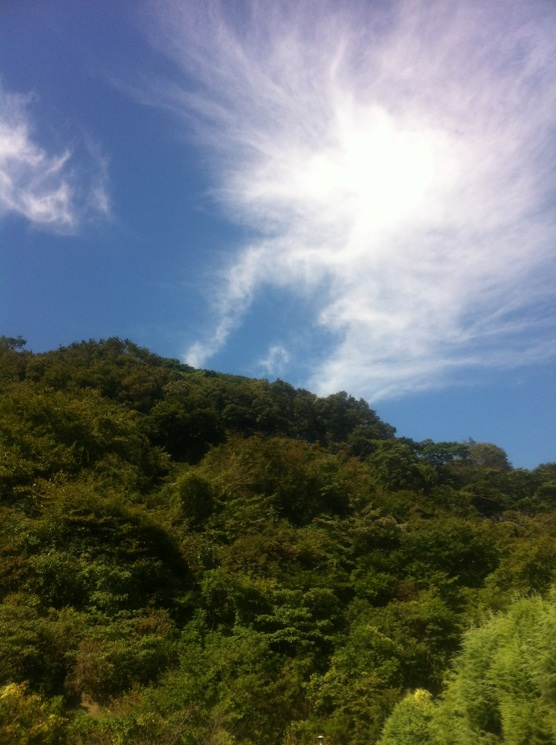 b0275998_124146.jpg