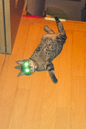 f0239100_22325343.jpg