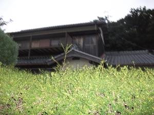 d0240201_120776.jpg