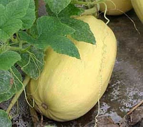 f0178701_10265660.jpg