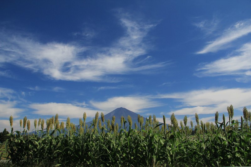 a0188405_7272126.jpg