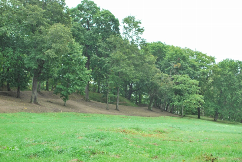 d0051707_20525245.jpg