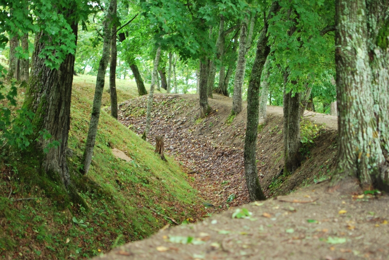 d0051707_2053518.jpg