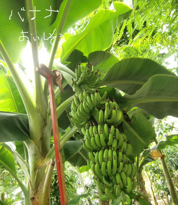 b0249310_2210499.jpg
