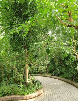 b0249310_2213549.jpg