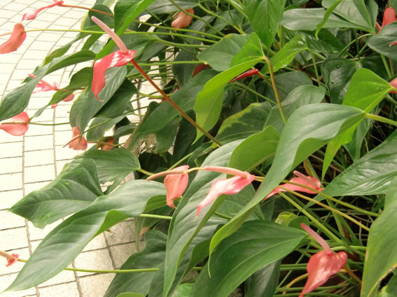 b0249310_222818.jpg