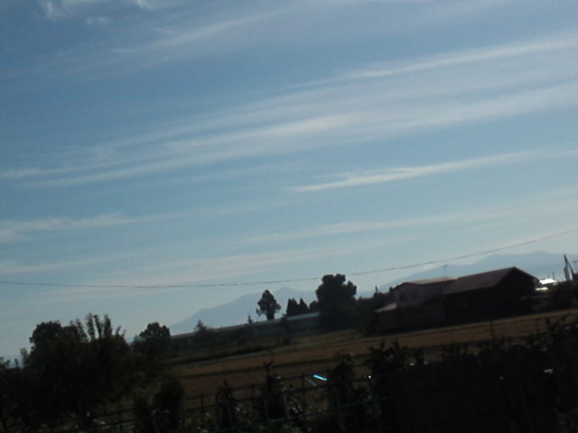 d0008724_2151415.jpg