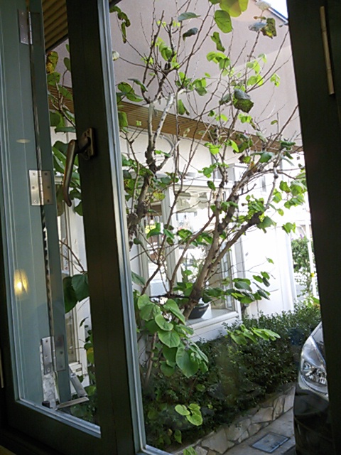 a0211435_16593594.jpg