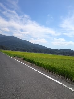 d0088735_1253671.jpg