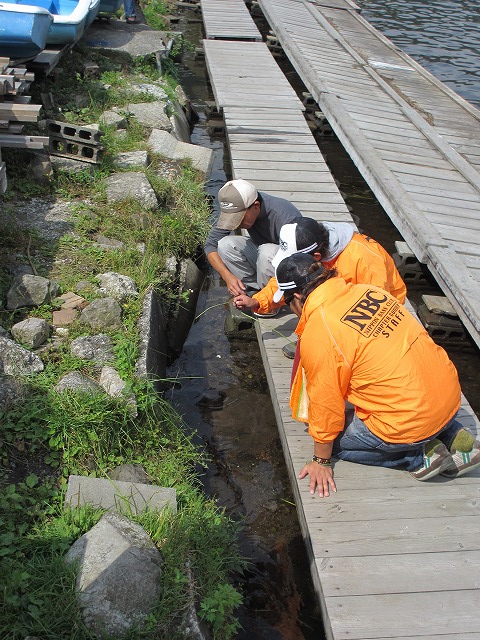 c0208836_21401470.jpg