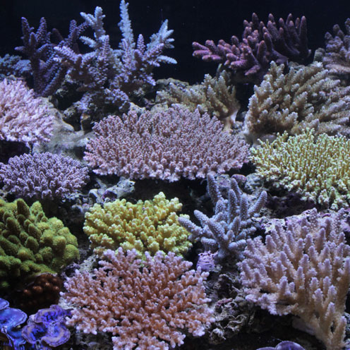 d0221436_20595357.jpg