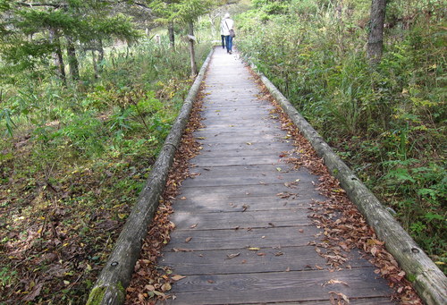 b0178339_9133648.jpg