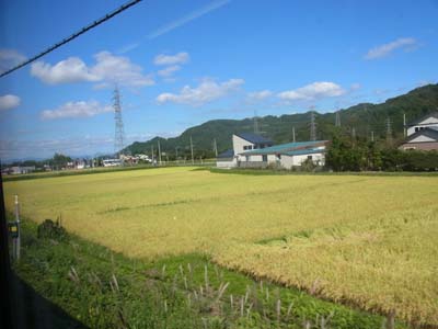 b0019140_15474873.jpg