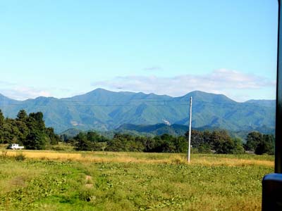 b0019140_1654852.jpg
