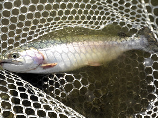 f0065341_16564948.jpg