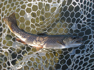 f0065341_1665679.jpg