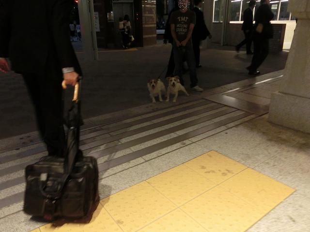 c0156345_0182610.jpg