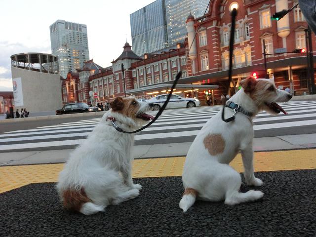 c0156345_09359.jpg