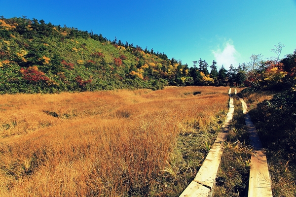 c0228945_6513519.jpg