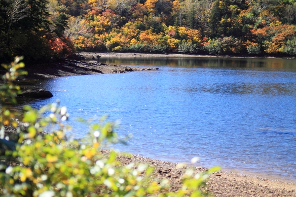 c0228945_6515980.jpg
