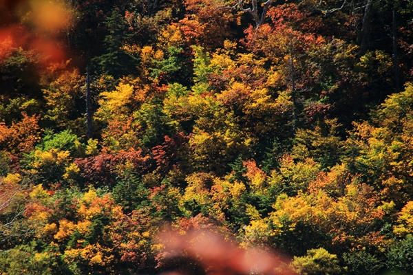c0228945_6522269.jpg
