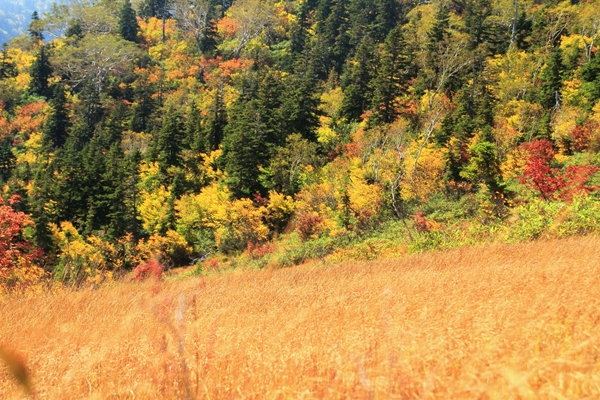 c0228945_6543122.jpg