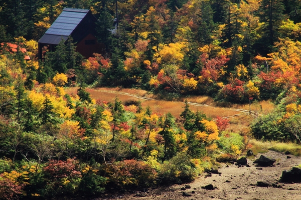 c0228945_702636.jpg