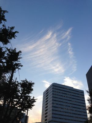 f0201745_1302786.jpg