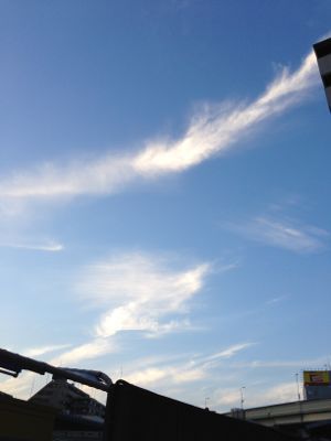 f0201745_1302958.jpg