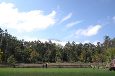 f0214858_2105968.jpg