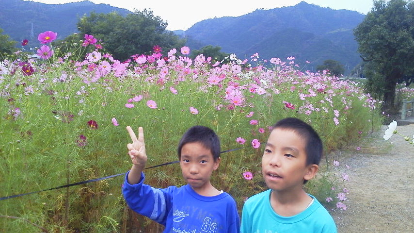 d0000459_928434.jpg