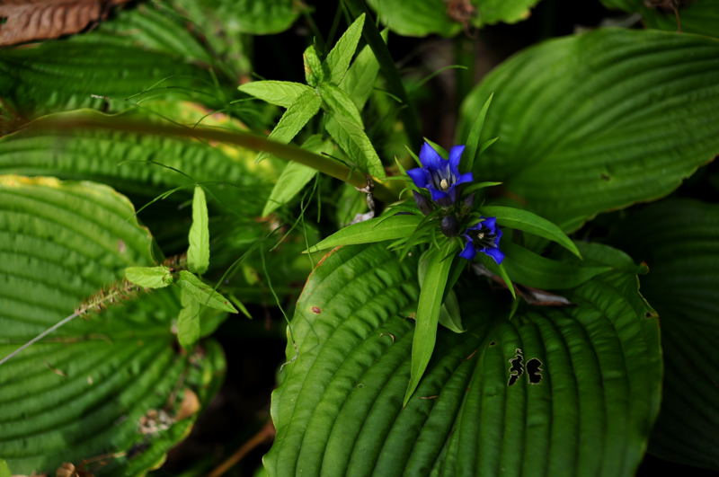 e0053660_2214943.jpg