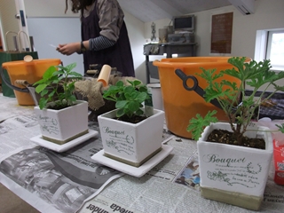 f0201565_1115291.jpg