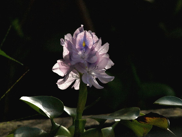 f0208666_16573774.jpg