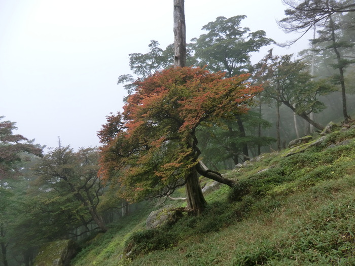 b0185573_10411136.jpg