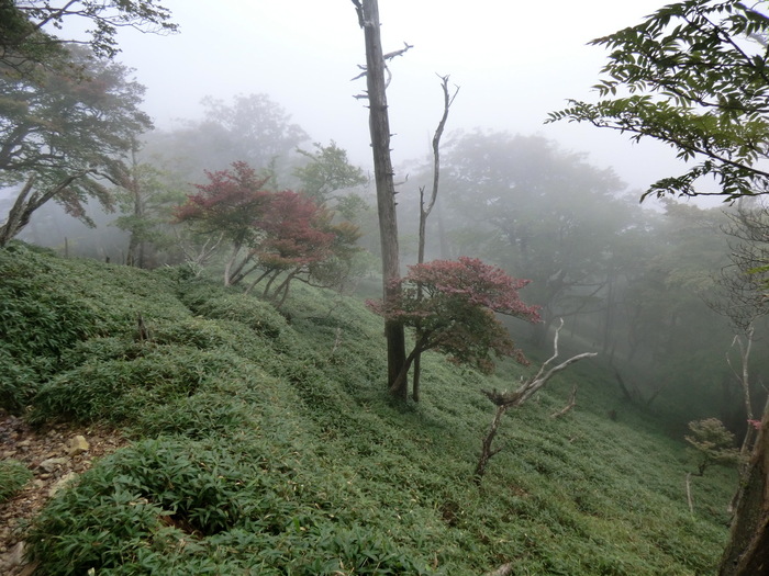 b0185573_9433584.jpg
