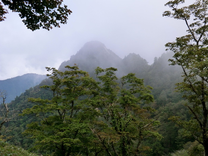 b0185573_94841.jpg
