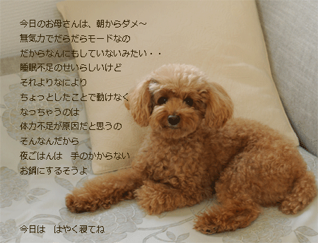 c0196673_17173276.gif