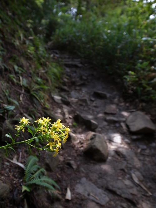 a0094280_17241666.jpg